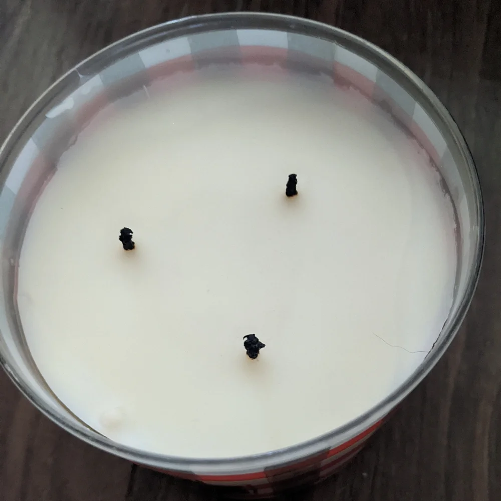 Goose Creek - Small Batch Apple Cider 3-Wick Soy Candle | 14.5 Ounces (45 Hours)